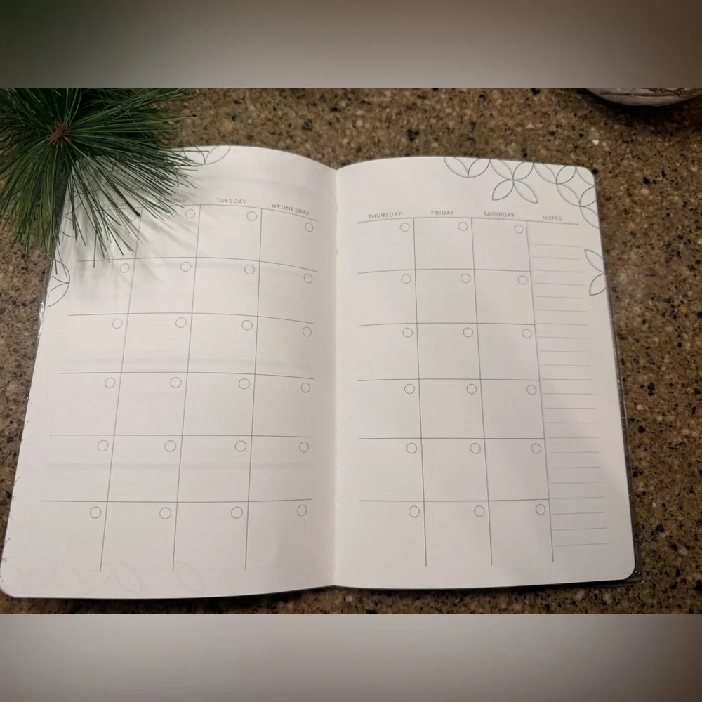 🌟🎁📘 Year In Preview PetitePlanner – The Perfect Goal-Getter Gift 📘🎁 🌟